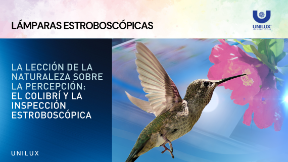 La Lección de la Naturaleza sobre la Percepción: El Colibrí y la Inspección Estroboscópica