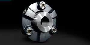 Acoplamiento CENTAFLEX-X en, 