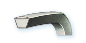 Correa trapecial EXTRA
