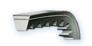 Correa trapecial LINEA X