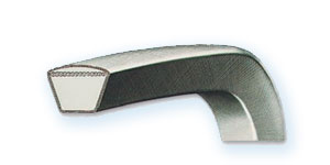 Correa trapecial OLEOSTATIC