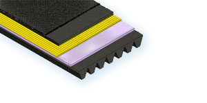 Correa poly-v PV MEGADYNE