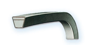 Correa trapecial SP