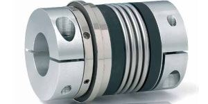 Limitador con acoplamiento SK2 en, Limitadores de par Serie SK/SL