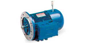 Motor serie BN..FD en, Motores y Servos